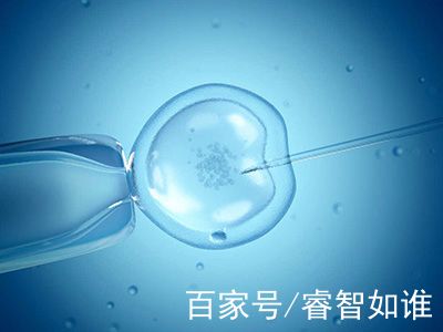 陈教授